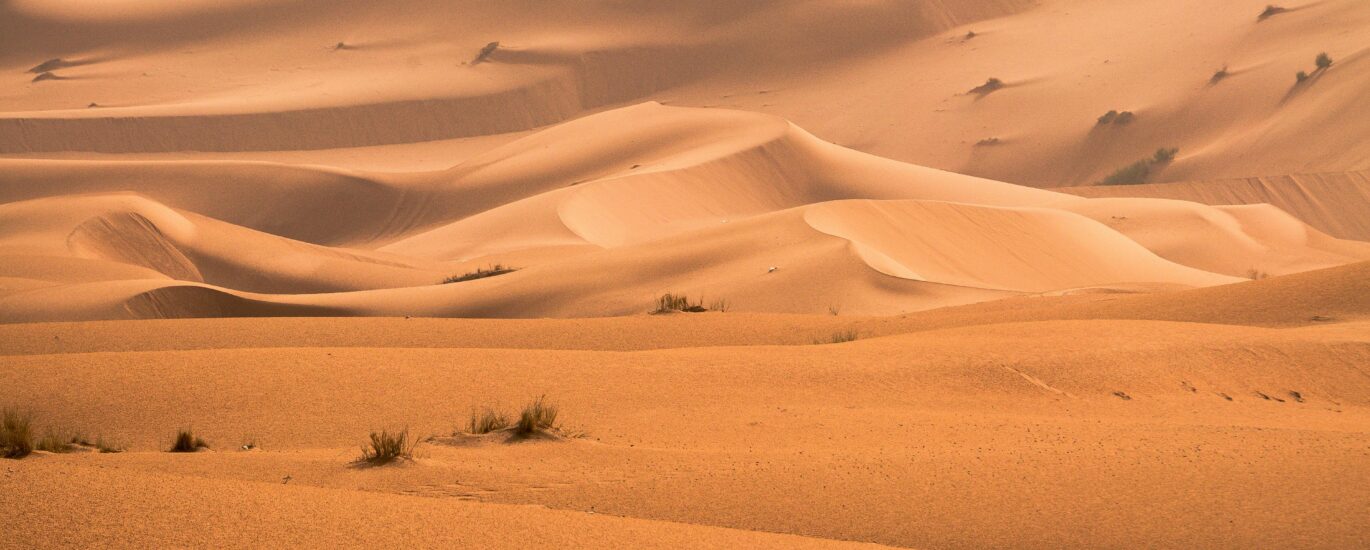 Desert
