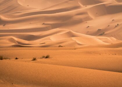 Desert