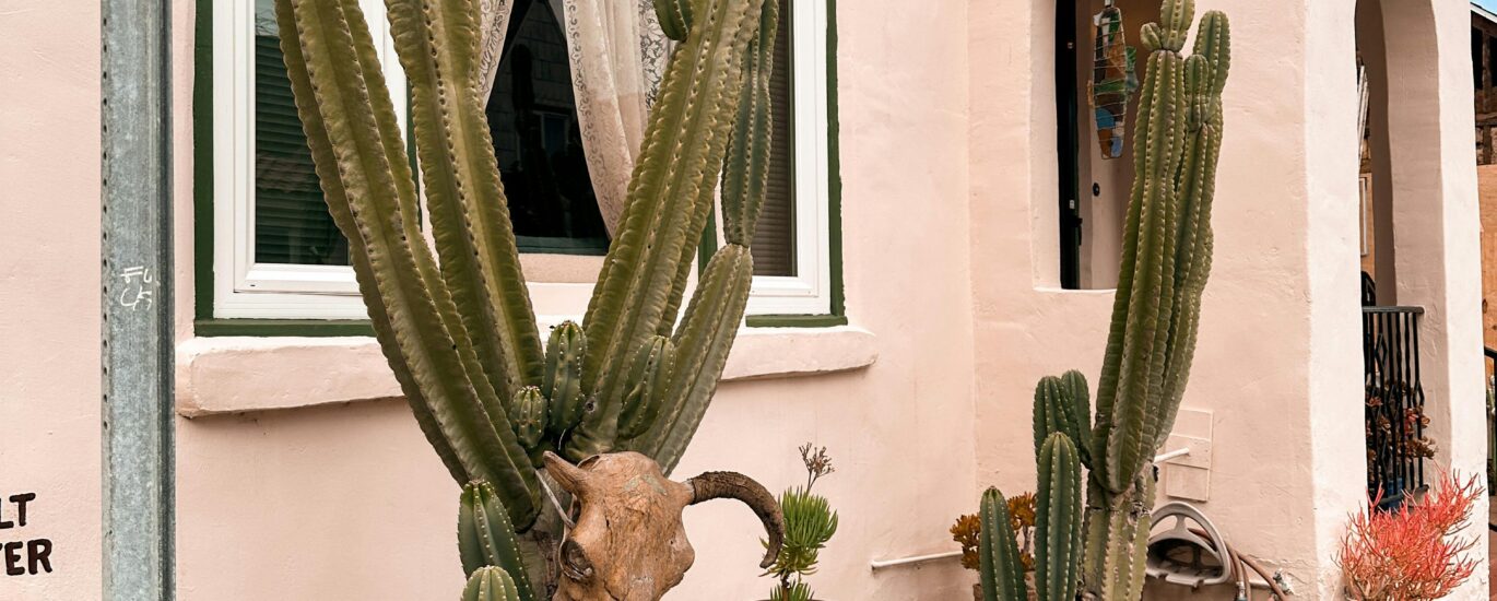 Desert Homes