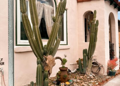 Desert Homes